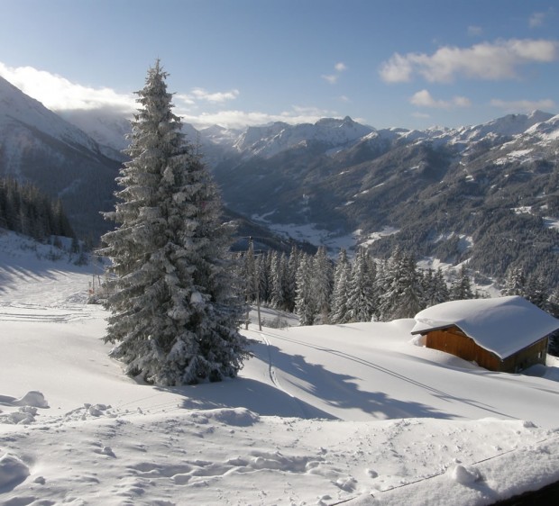 Verschneite Winterlandschaft