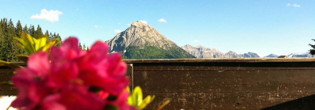 Hausberg Ensskraxn im Sommer